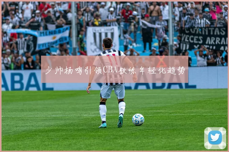 少帅杨鸣引领CBA教练年轻化趋势