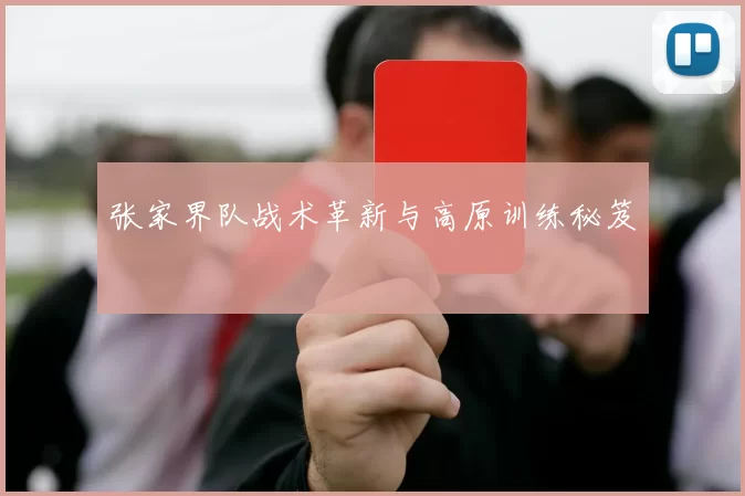 张家界队战术革新与高原训练秘笈