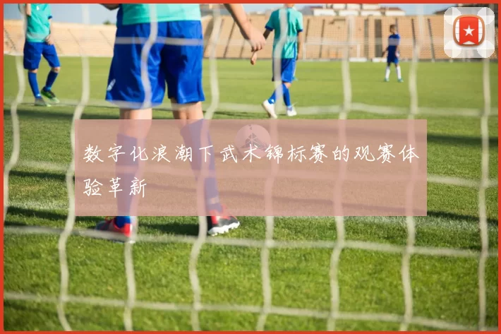 数字化浪潮下武术锦标赛的观赛体验革新